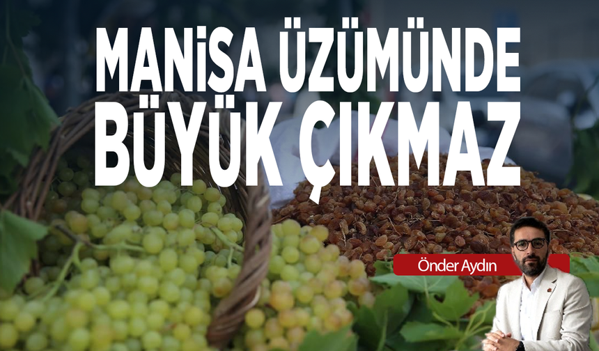 Manisa üzümünde büyük çıkmaz