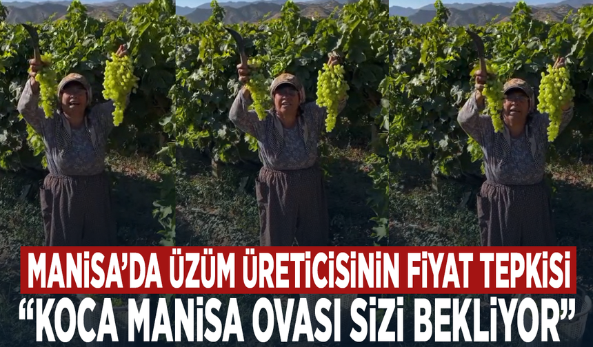 Manisa’da üzüm üreticisinin fiyat tepkisi: “Koca Manisa Ovası sizi bekliyor”