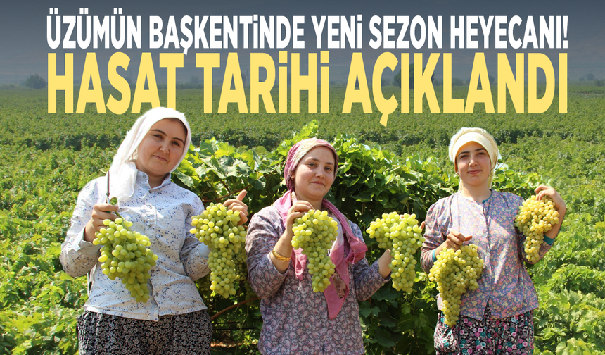 Üzümün başkentinde yeni sezon heyecanı! Hasat tarihi açıklandı