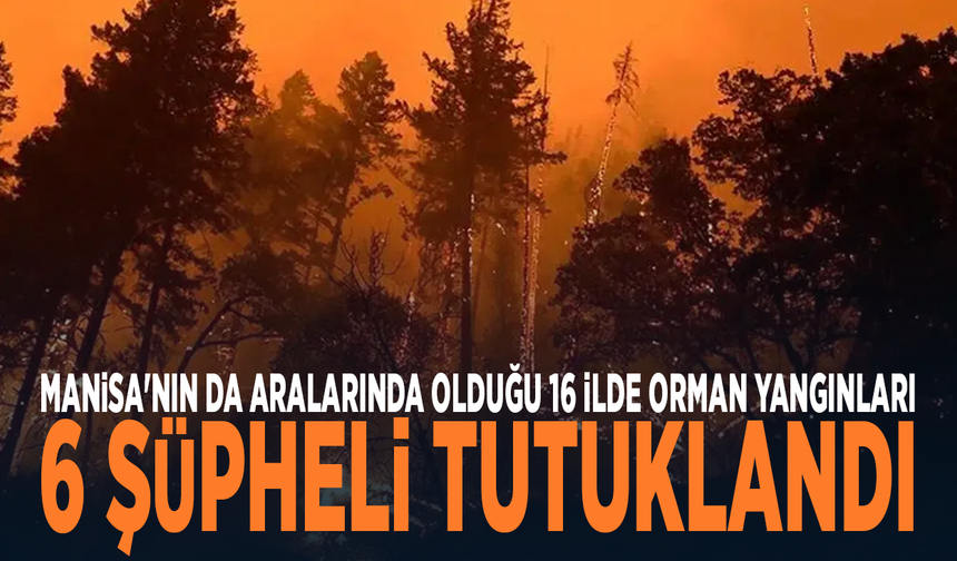 Manisa'nın da aralarında olduğu 16 ilde orman yangınları: 6 şüpheli tutuklandı