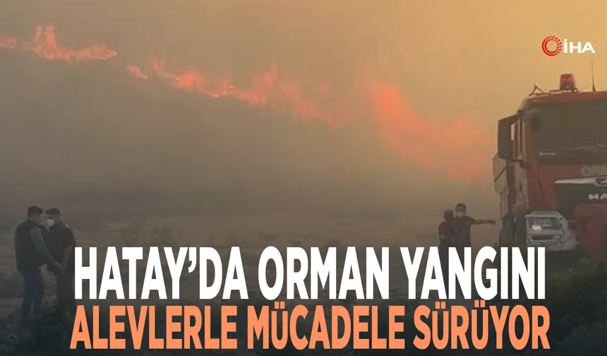 Hatay’da orman yangını.... Alevlerle mücadele sürüyor