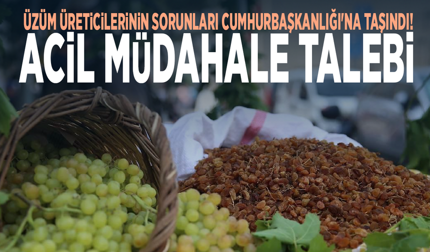 Üzüm üreticilerinin sorunları Cumhurbaşkanlığı'na taşındı! Acil müdahale talebi