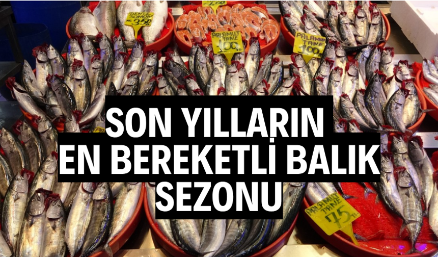 Son yılların en bereketli balık sezonu
