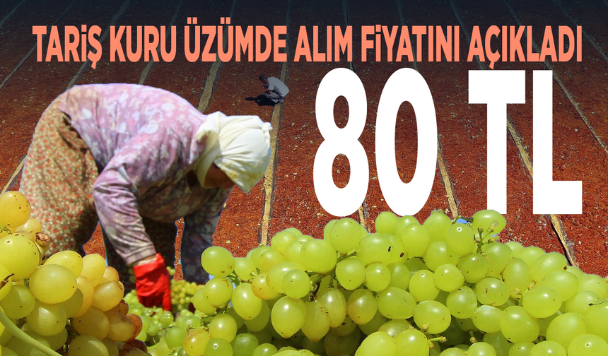 TARİŞ kuru üzümde alım fiyatını açıkladı: 80 TL