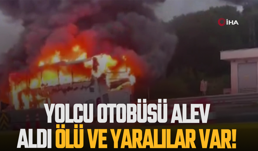 Yolcu otobüsü aldı: Ölü ve yaralılar var!