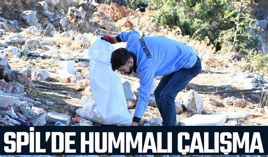 Spil'de hummalı çalışma