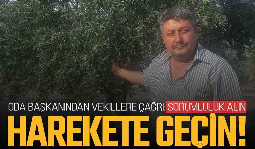 Oda başkanından vekillere çağrı: Sorumluluk alın, harekete geçin!