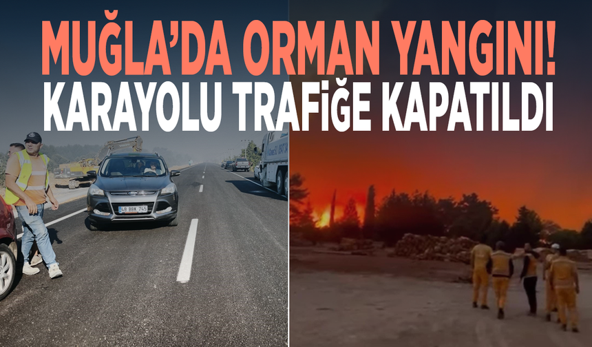 Muğla’da orman yangını! Karayolu trafiğe kapatıldı