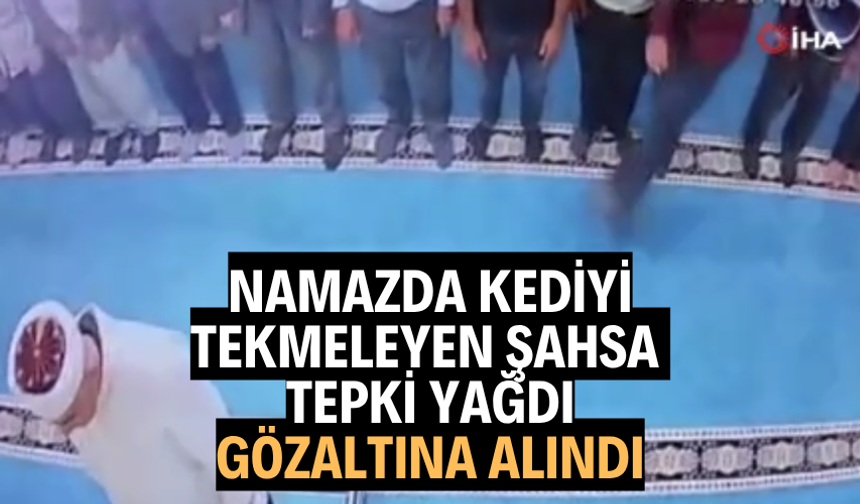 Namazda kediyi tekmeleyen şahsa tepki yağdı: Gözaltına alındı
