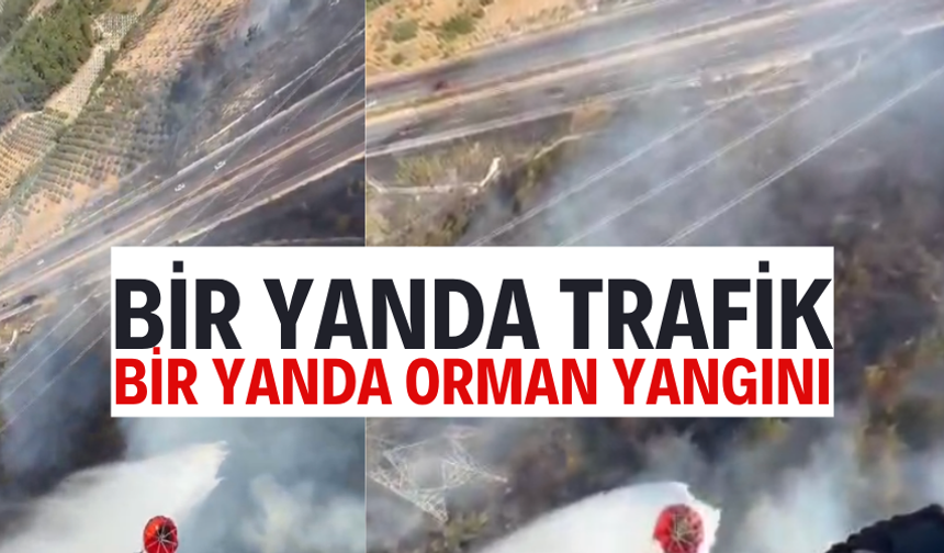 Manisa'da otoyol kenarında orman yangını