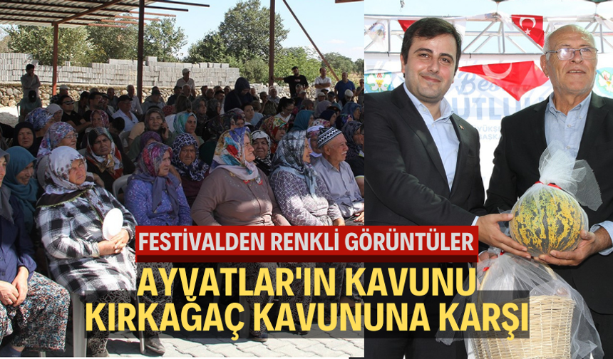 Ayvatlar'ın kavunu Kırkağaç kavununa karşı... Festivalden renkli görüntüler