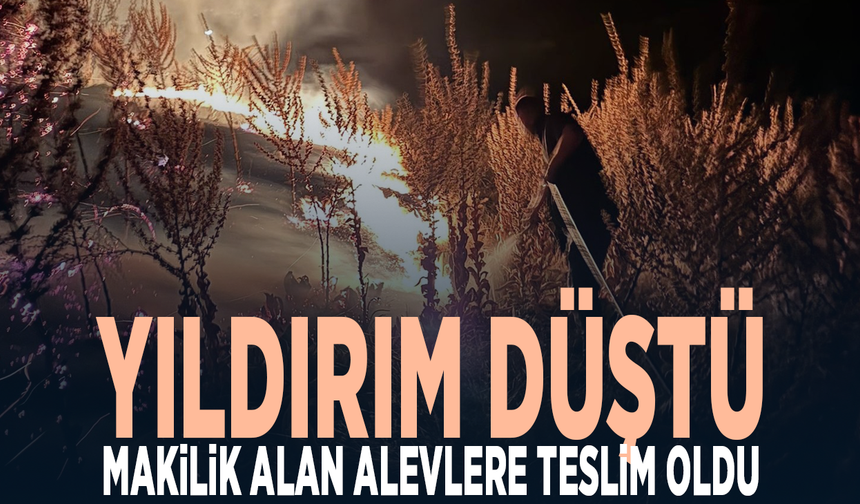 Yıldırım düştü, makilik alan alevlere teslim oldu