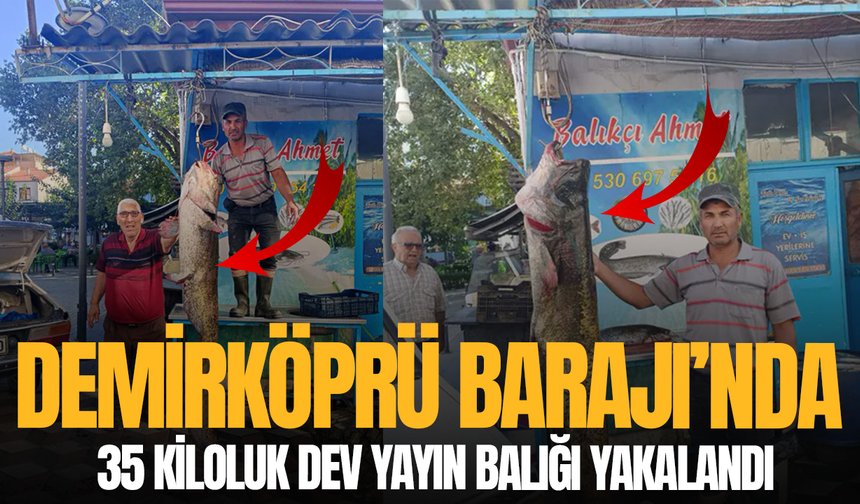 Demirköprü Barajı’nda 35 kiloluk dev yayın balığı yakalandı