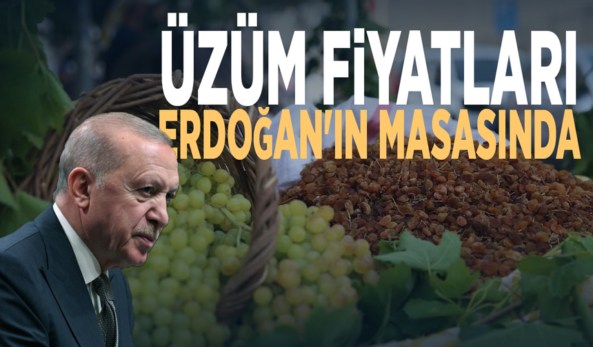 Üzüm fiyatları Erdoğan'ın masasında