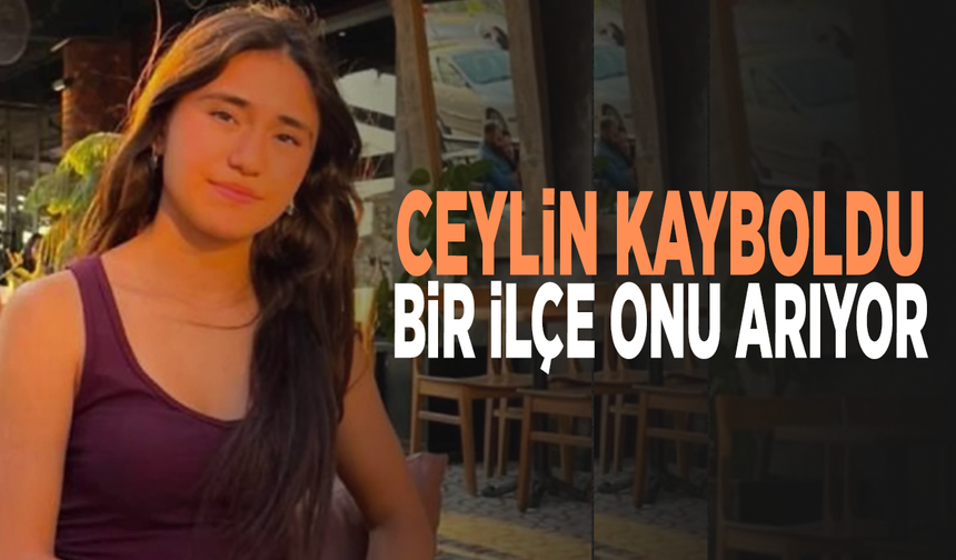 Ceylin kayboldu, bir ilçe onu arıyor