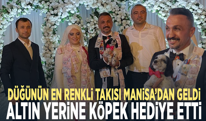 Düğünün en renkli takısı Manisa’dan geldi... Altın yerine köpek hediye etti