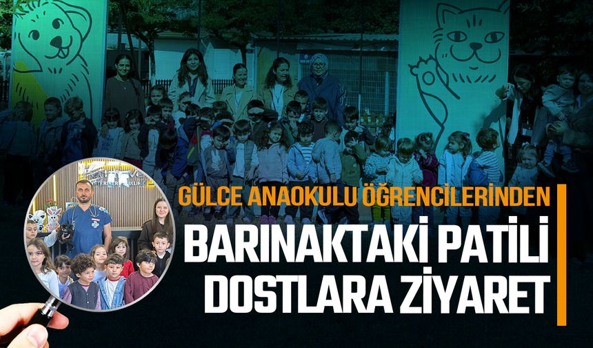 Gülce Anaokulu öğrencilerinden barınaktaki patili dostlara ziyaret