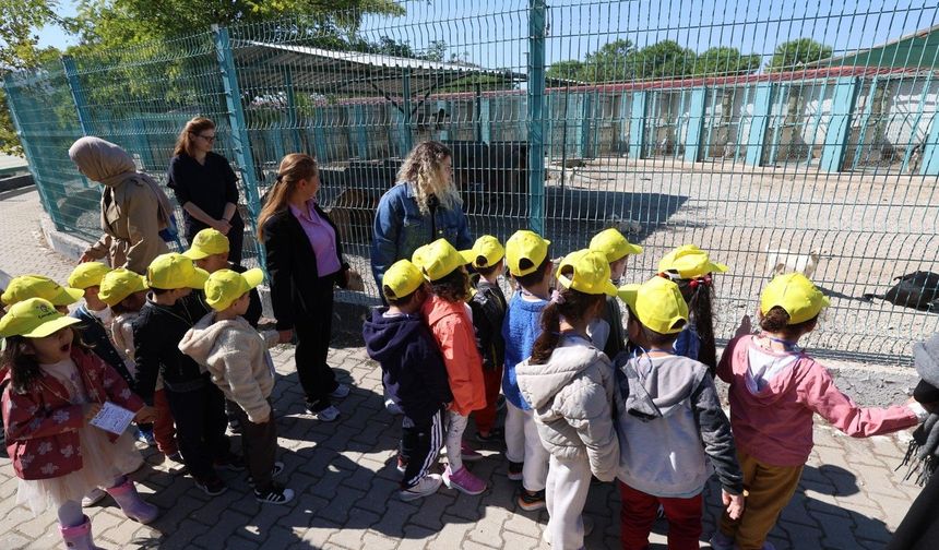 Minikler bakımevindeki hayvanlarla buluştu
