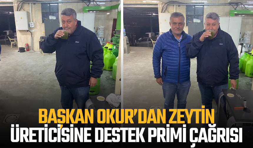 Saruhanlı Ziraat Odası Başkanı Aydoğan Okur’dan Zeytin Üreticisine Destek Primi Çağrısı
