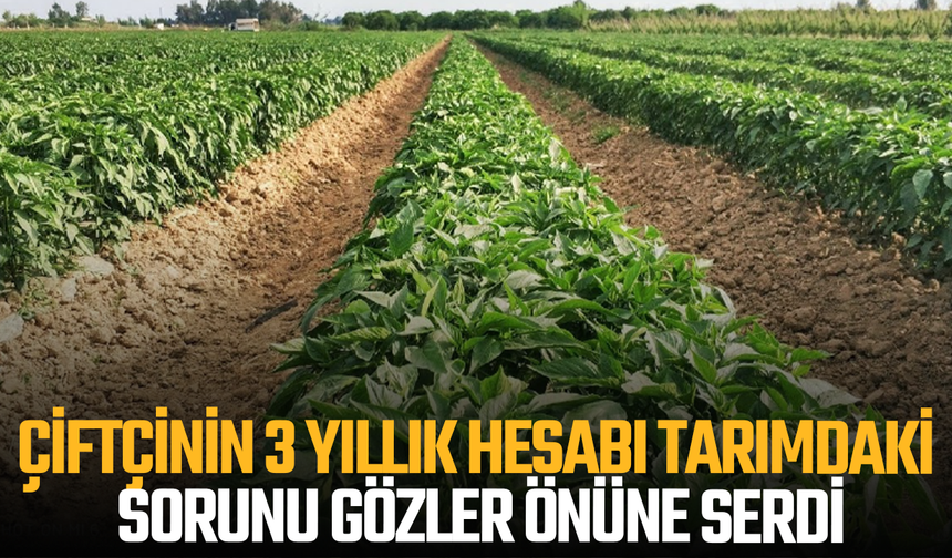 Emin Özarı Çiftçinin Tablosunu Açıkladı: Maliyet Katlandı, Gelir Değişmedi