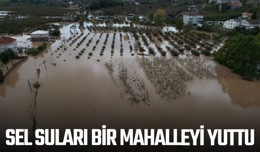 Sel suları bir mahalleyi yuttu