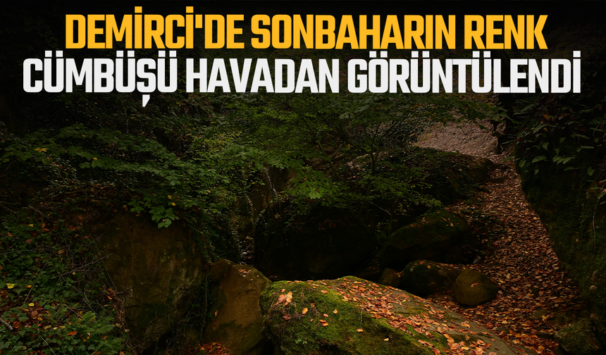 Demirci'de sonbaharın renk cümbüşü havadan görüntülendi