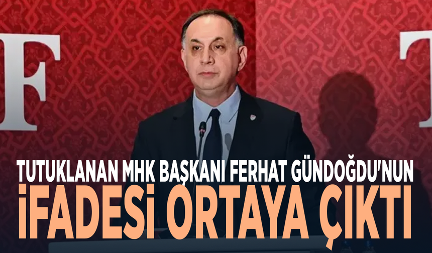 Tutuklanan MHK Başkanı Ferhat Gündoğdu'nun ifadesi ortaya çıktı
