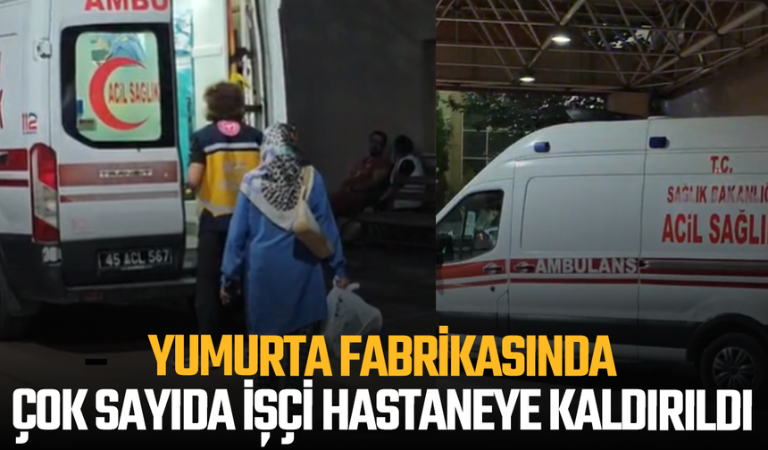 Yumurta Fabrikasında Çok Sayıda İşçi Hastaneye Kaldırıldı