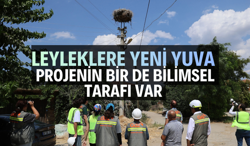 Leyleklere Yeni Yuva...
