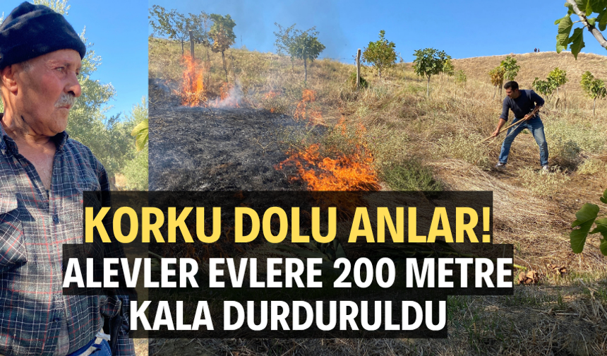 Korku dolu anlar! Alevler evlere 200 metre kala durduruldu