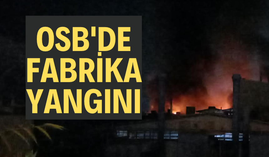 OSB'DE FABRİKA YANIYOR