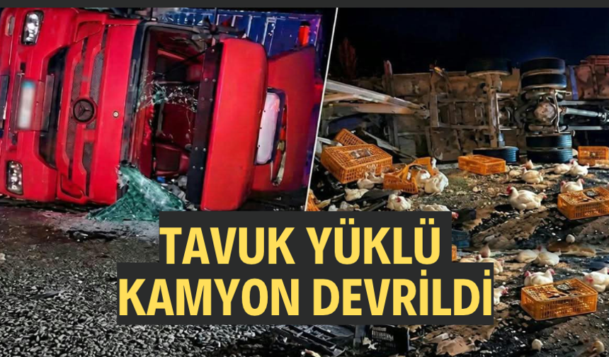 Tavuk yüklü kamyon şarampole devrildi