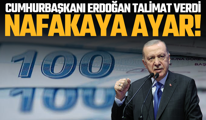 Nafaka düzenlemesine ayar: Cumhurbaşkanı Erdoğan talimat verdi