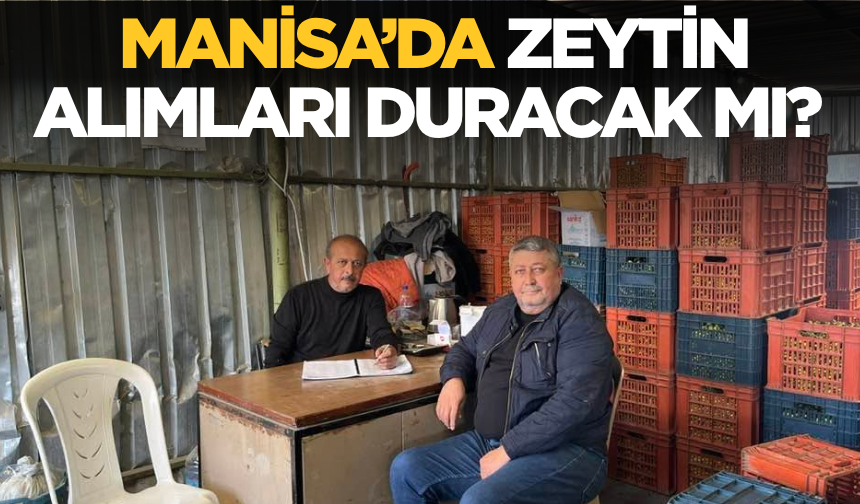 Aydoğan Okur’dan Zeytin Üreticileri İçin Acil Müdahale Çağrısı