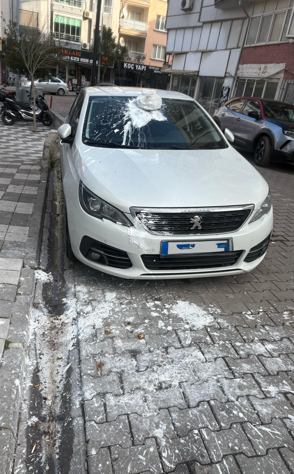 Whatsapp Image 2025 02 10 At 17.11.21 (2)