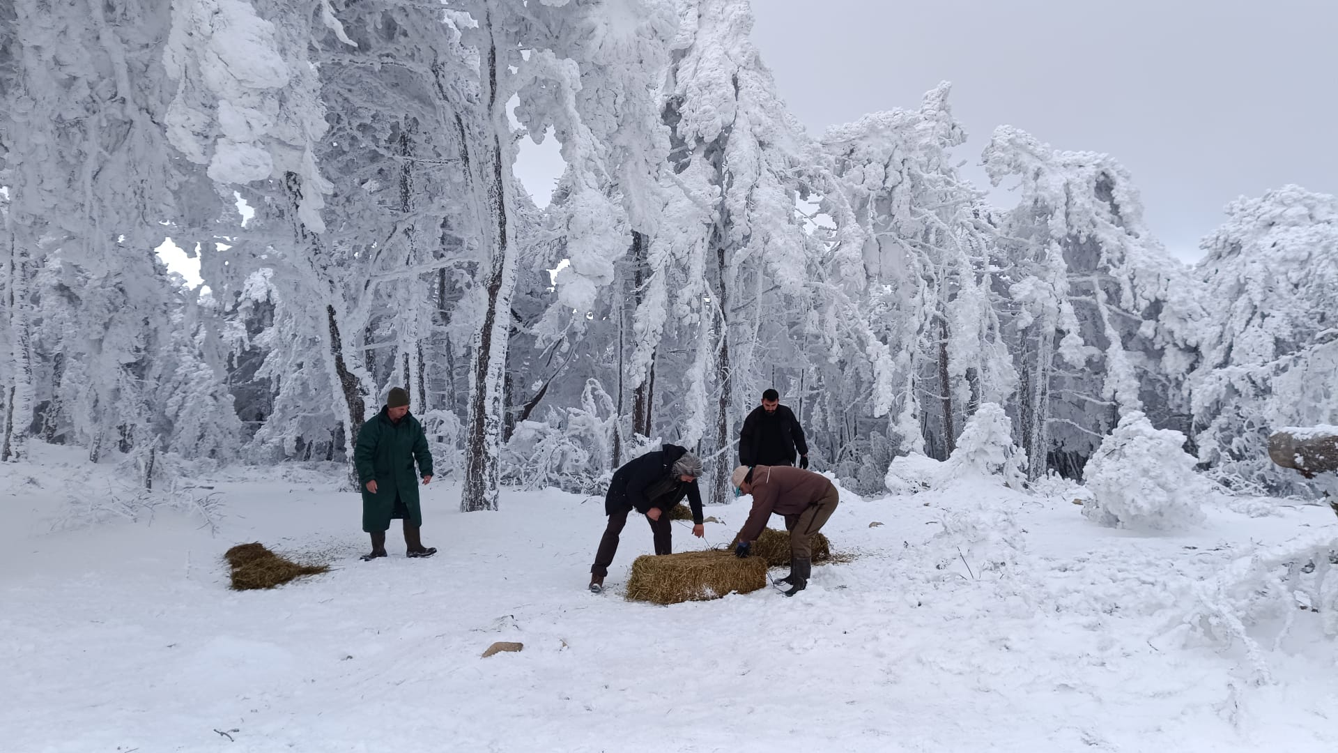 Whatsapp Image 2025 02 12 At 16.30.56