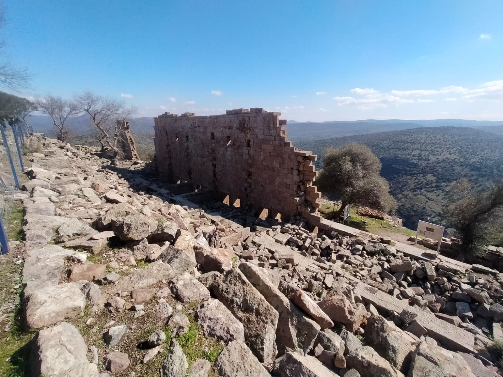 Whatsapp Image 2025 02 22 At 15.57.44 (1)