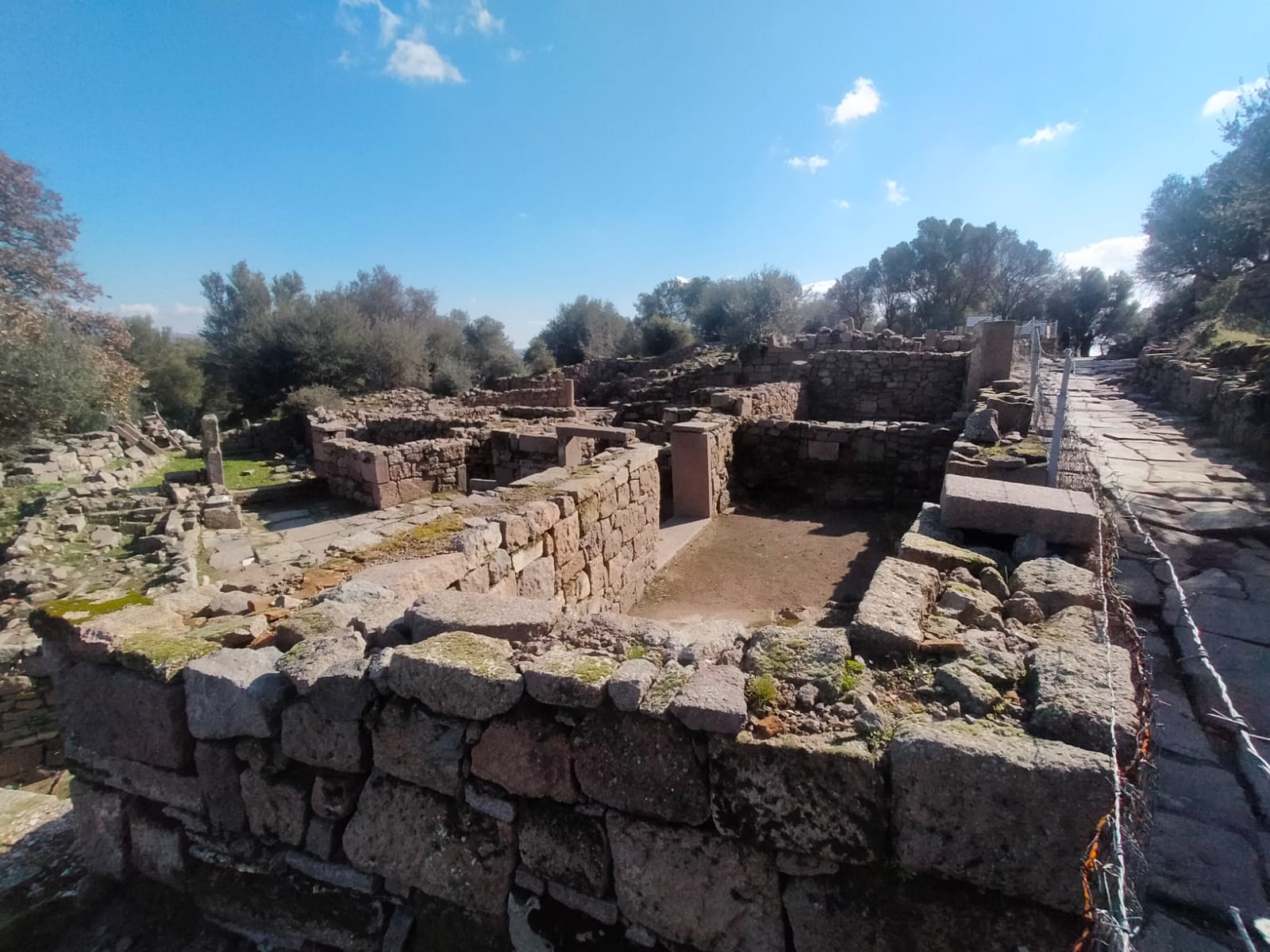 Whatsapp Image 2025 02 22 At 15.57.45 (2)