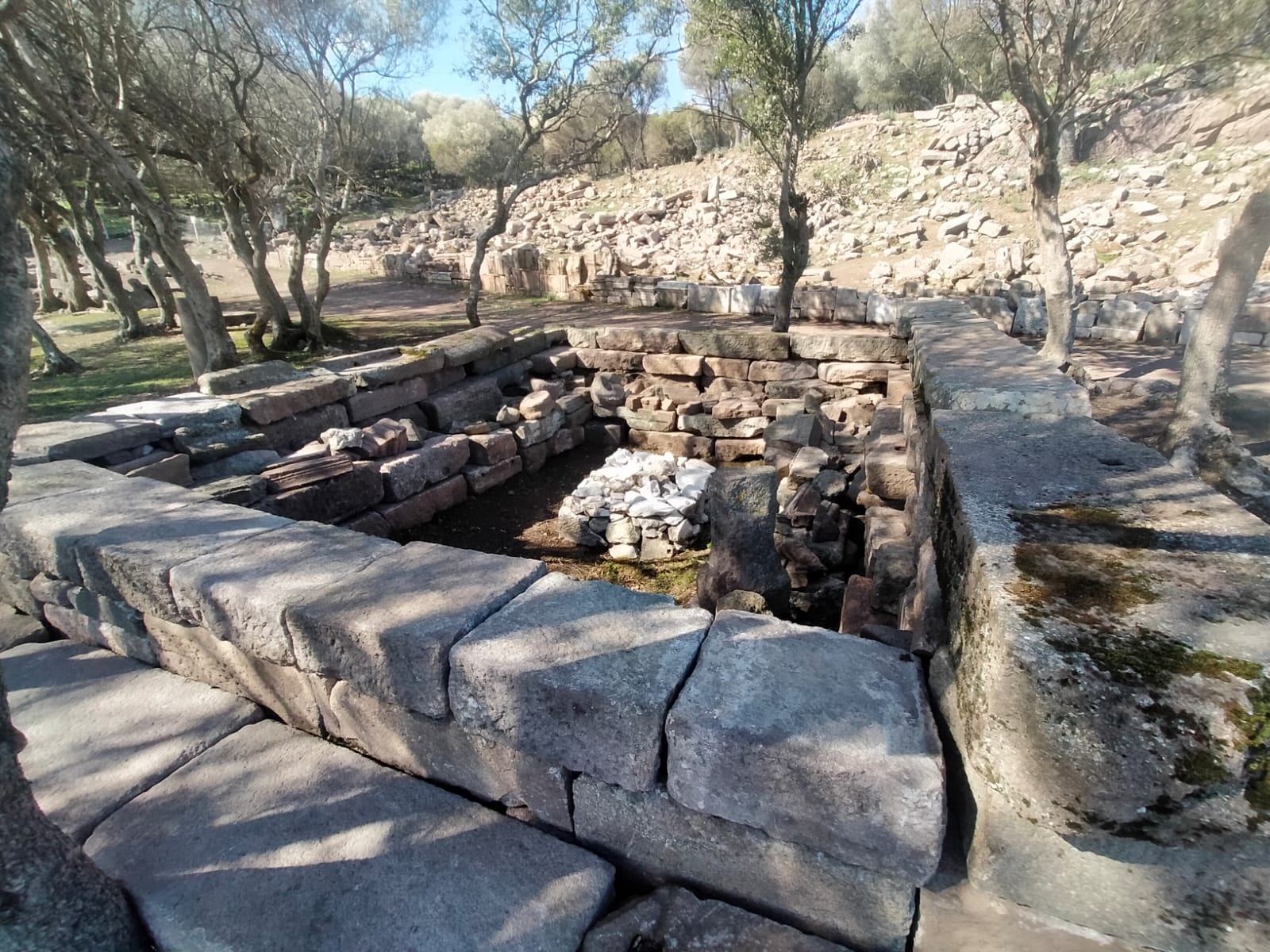 Whatsapp Image 2025 02 22 At 15.57.45