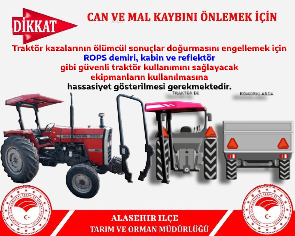 499915083 1590442284970778 4888515546897081578 N