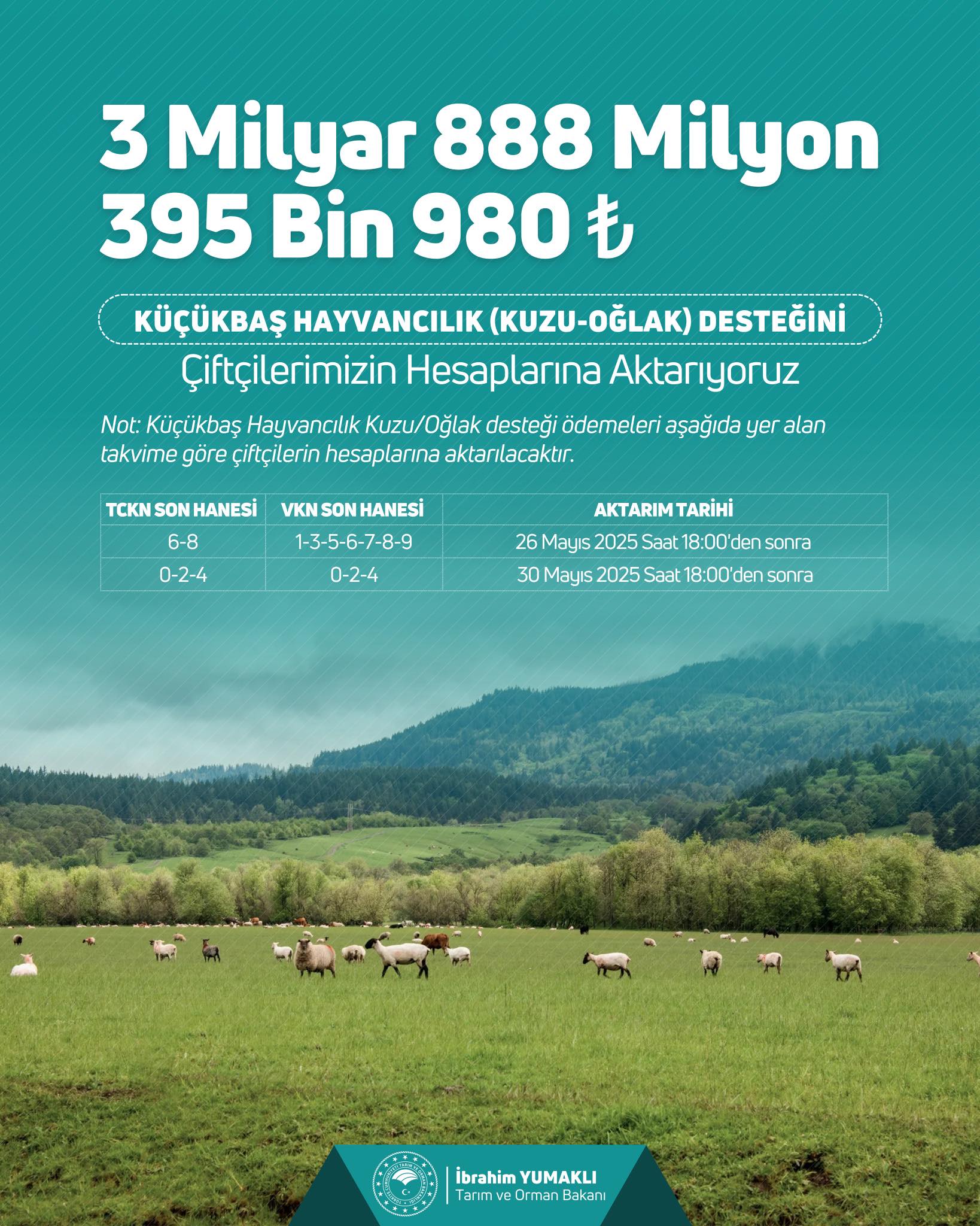 501322790 598887926560596 5534589534668697568 N