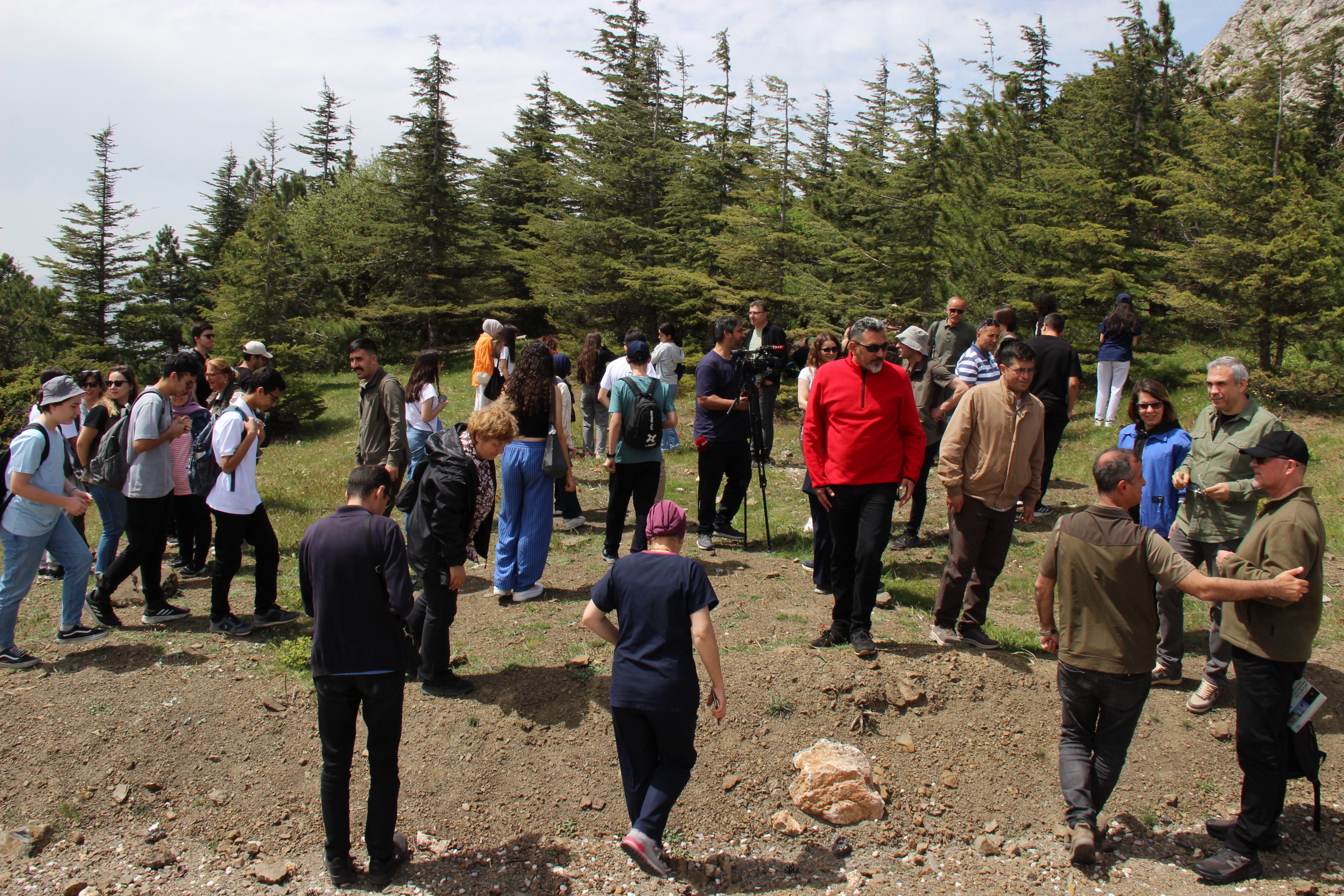 Mani̇sa Lalesi̇ (12)