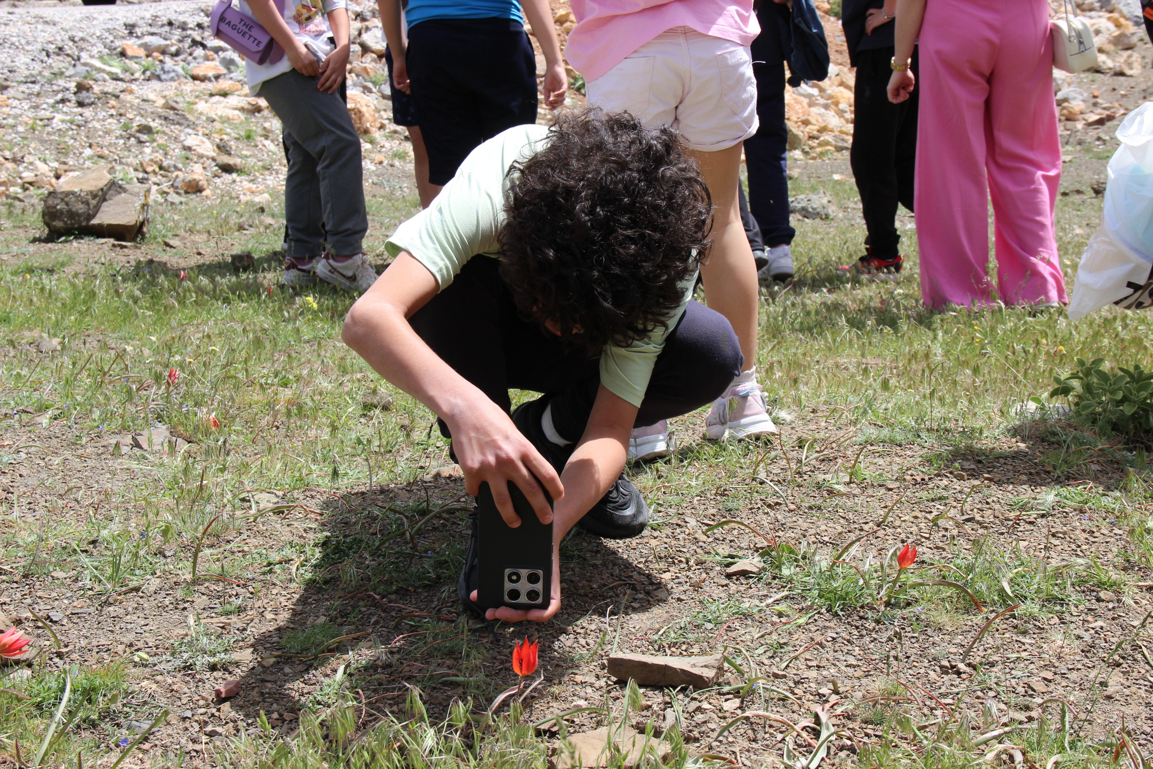 Mani̇sa Lalesi̇ (19)