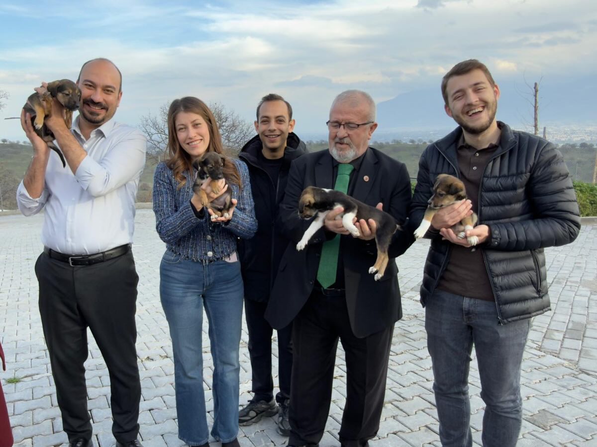 622387976 18505411843072940 932442587212329465 N (1)