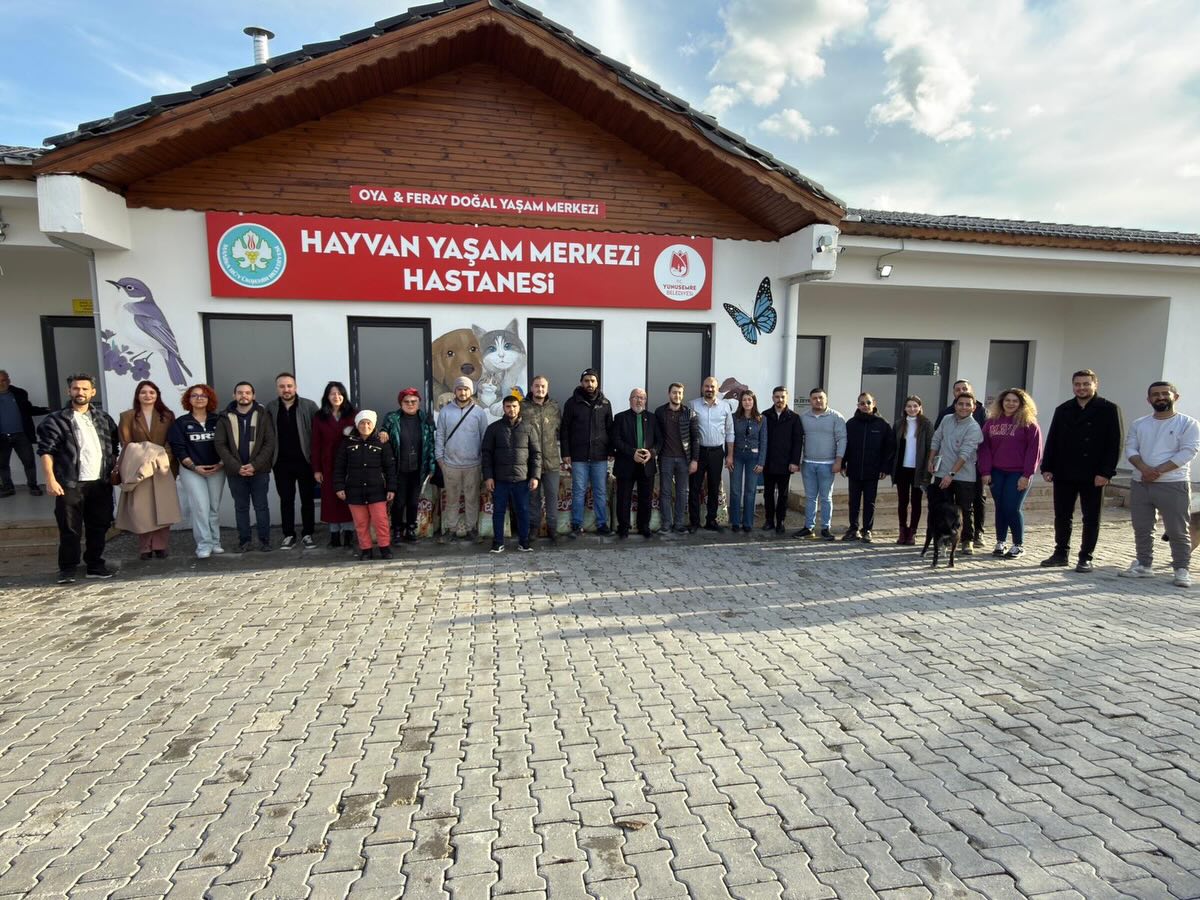 624072405 18505411879072940 4914086666596781937 N