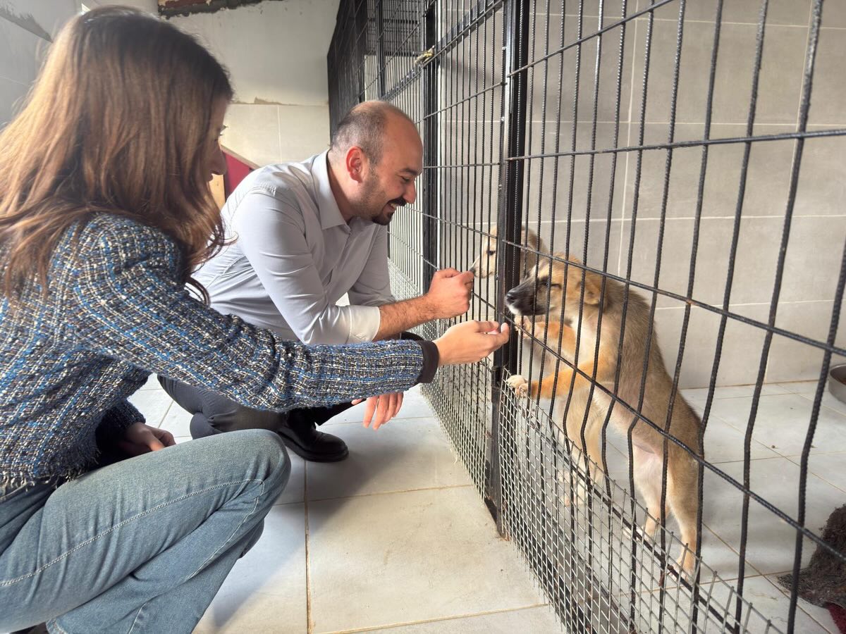 624330570 18505411858072940 4858166539898855937 N