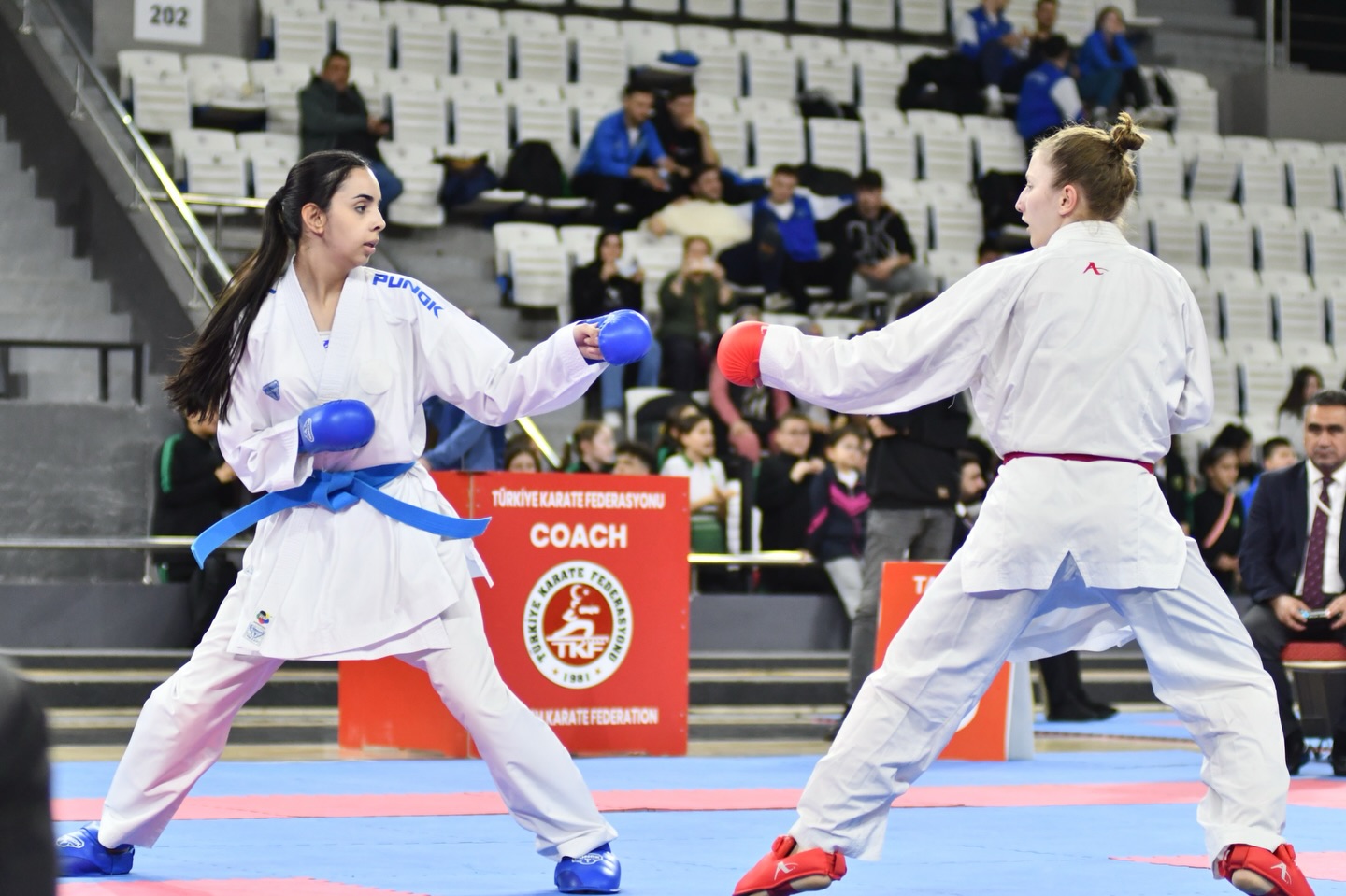 626271943 17999648186890102 9190513079749332305 N