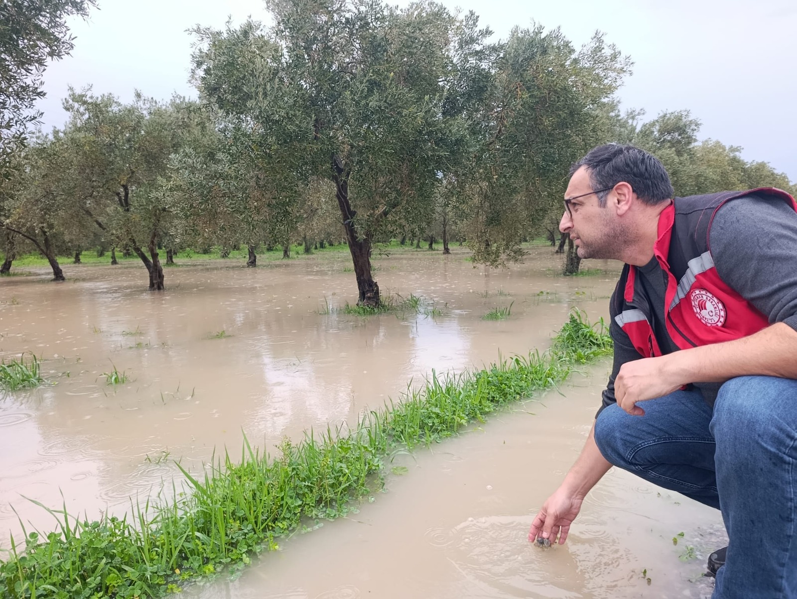 631297078 1399320025573982 2264663972722490693 N