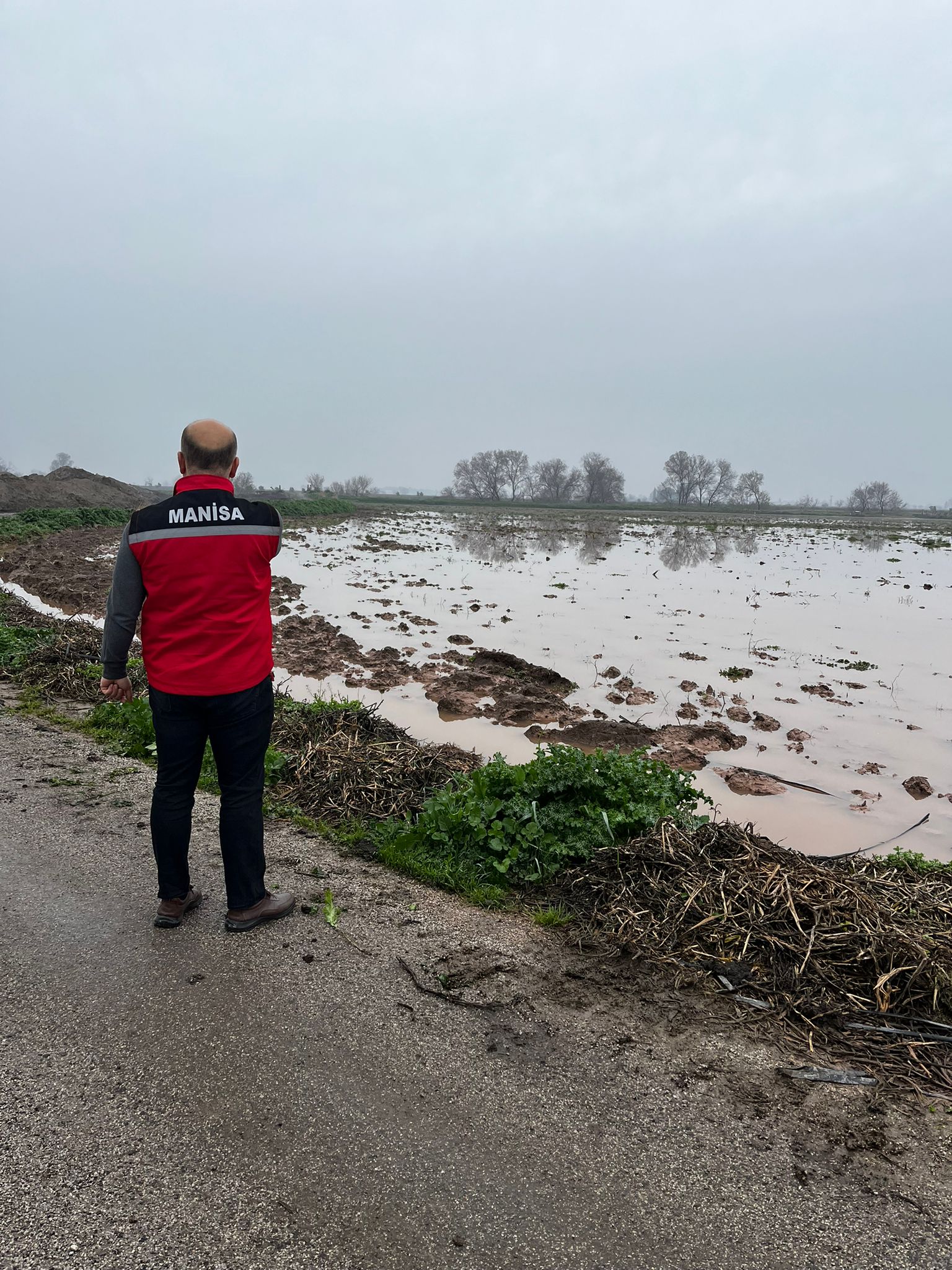 631351993 1399319222240729 2255209805128192648 N