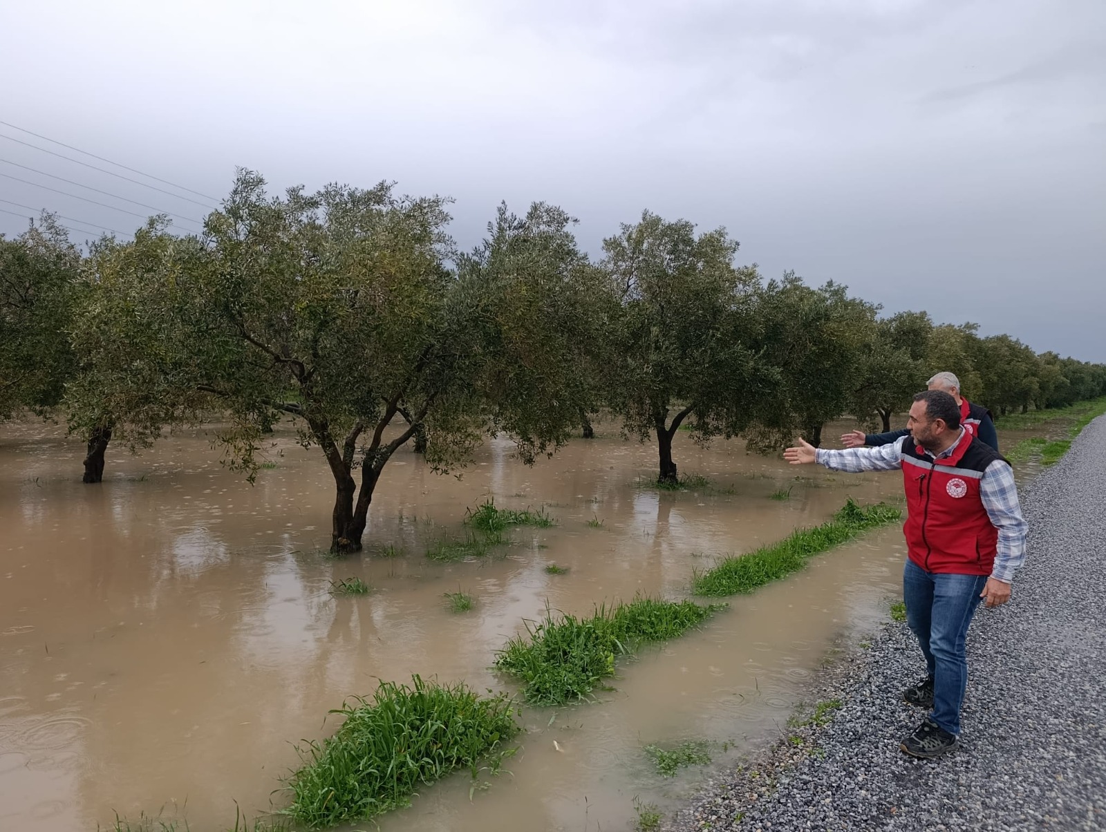 631425577 1399319922240659 6353071955857007701 N